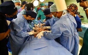 Read more about the article Hospital Gautier realiza jornada interna de cirugía plástica